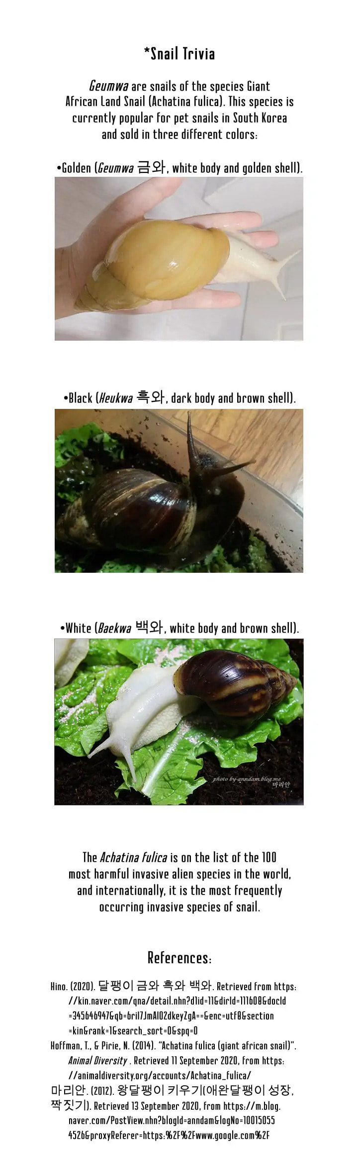 Snail: Conqueror of Earth Chapter 3 page 20 - 