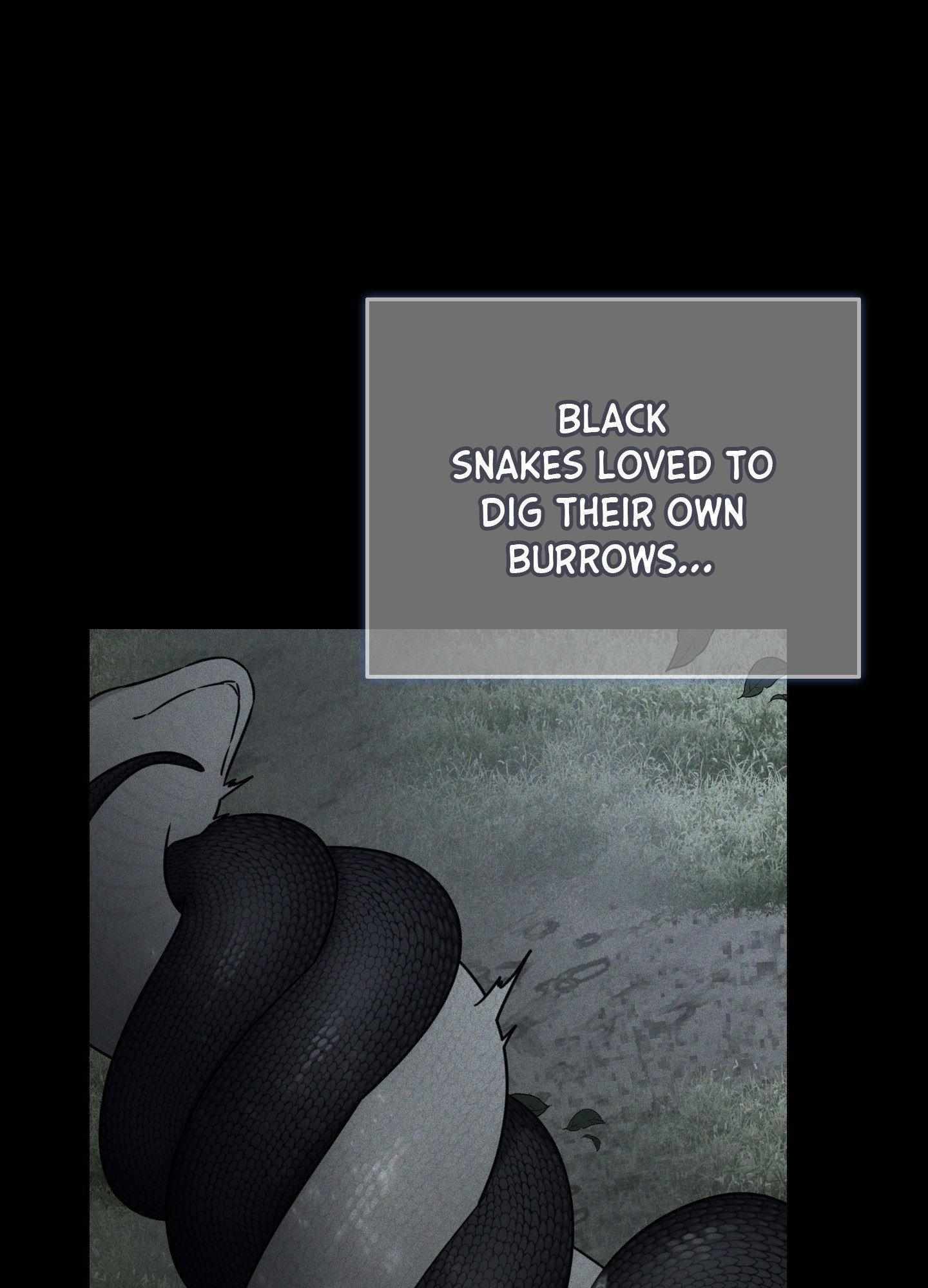 Snake Hole Chapter 16 page 90 - 