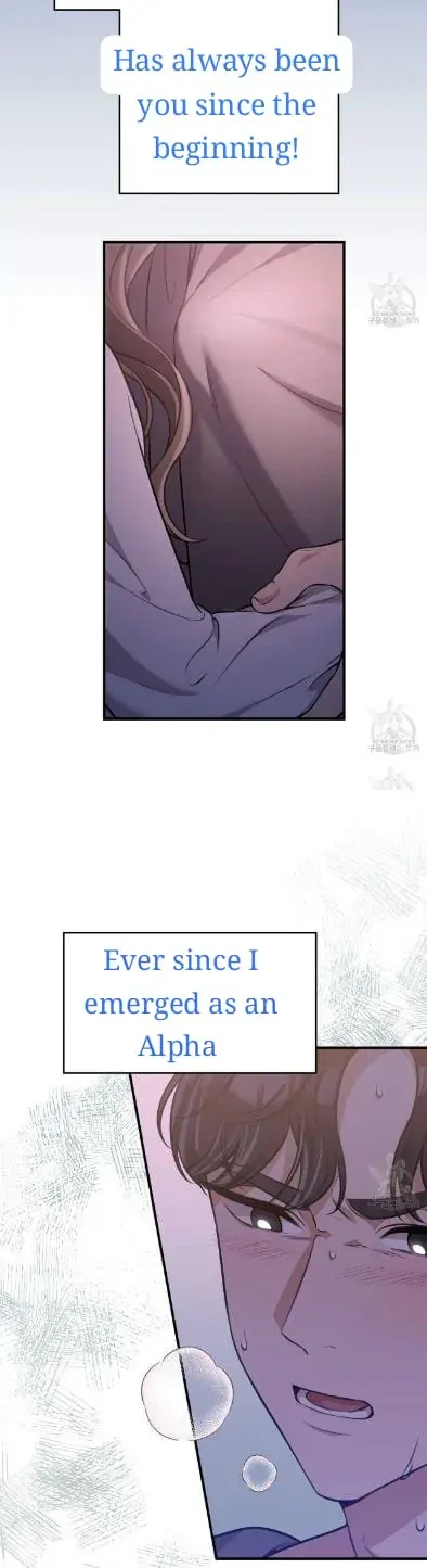 Snatching The Bride Chapter 1 page 12 - 