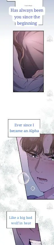 Snatching The Bride Chapter 1 page 13 - 