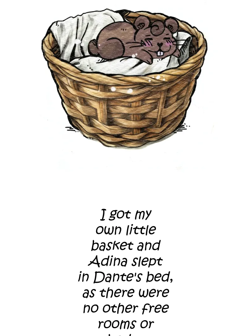 Snow White and her 7 Husbands Chapter 7 page 2 - 