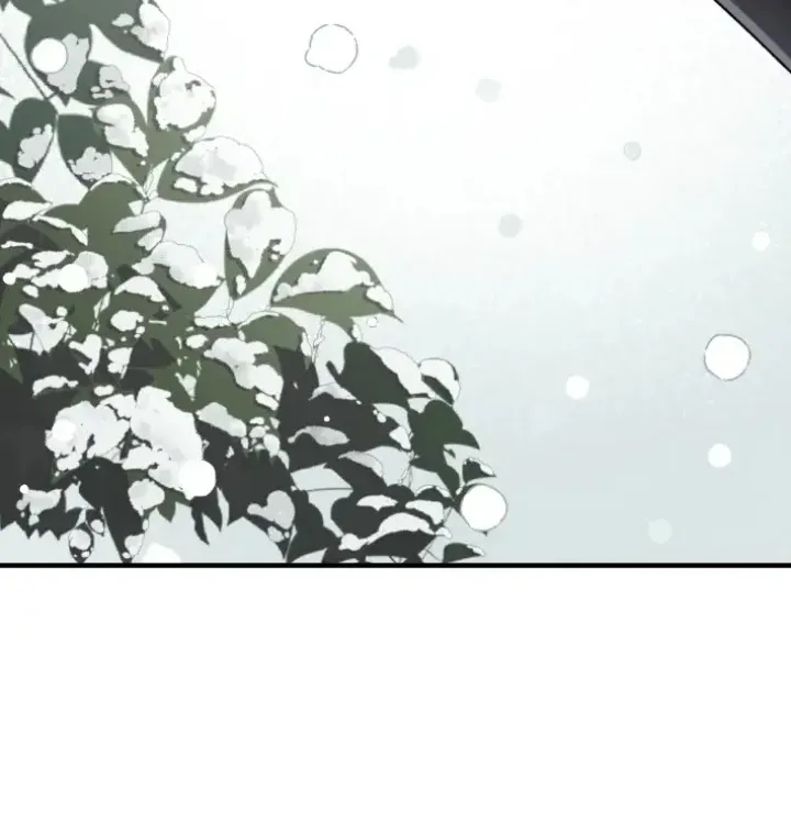 Snowhite