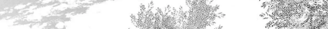 So Ra No Wo To Chapter 48 page 48 - 