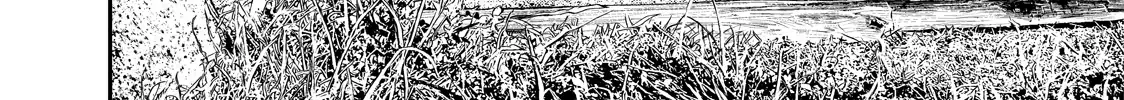 Solo Camping for Two Chapter 12 page 25 - 