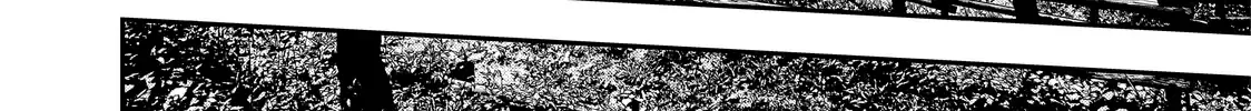 Solo Camping for Two Chapter 25 page 41 - 
