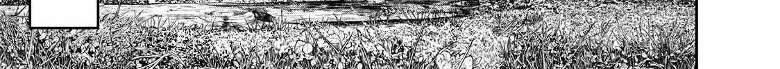 Solo Camping for Two Chapter 41 page 10 - 
