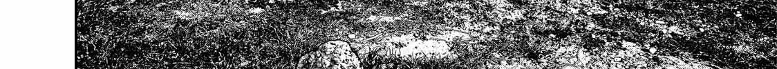 Solo Camping for Two Chapter 42 page 21 - 