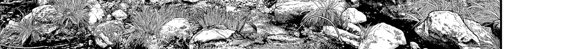 Solo Camping for Two Chapter 47 page 14 - 