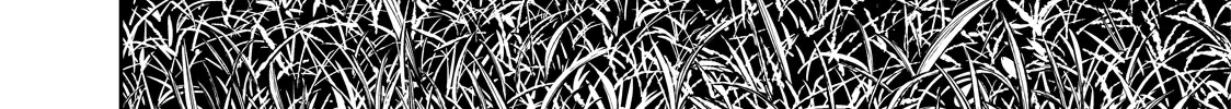 Solo Camping for Two Chapter 5 page 25 - 