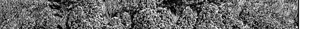 Solo Camping for Two Chapter 86.5 page 84 - 