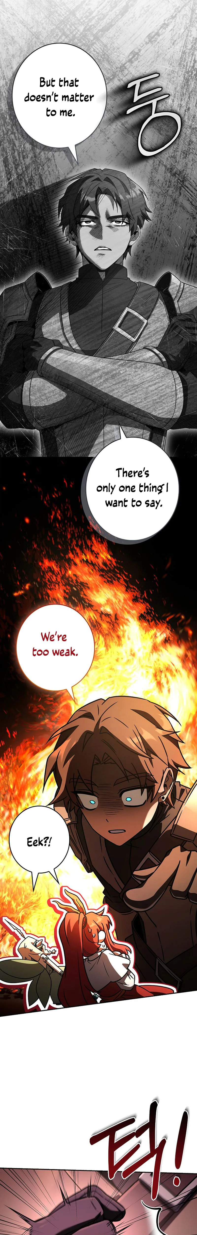 Solo EX-Rank Summoner Chapter 12 page 17 - 