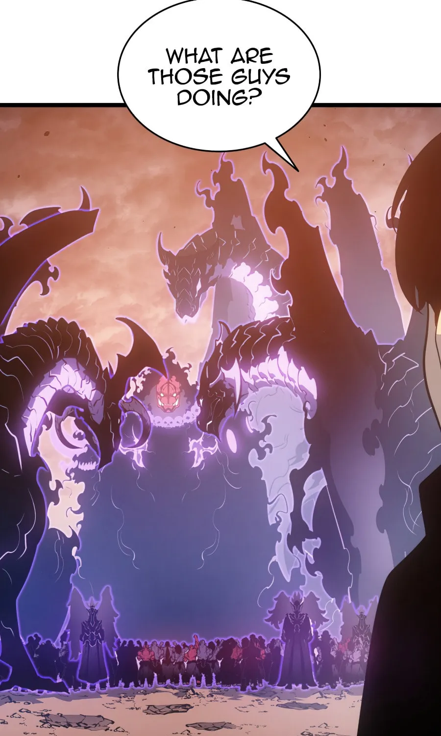 Solo Leveling Chapter 168 page 29 - 