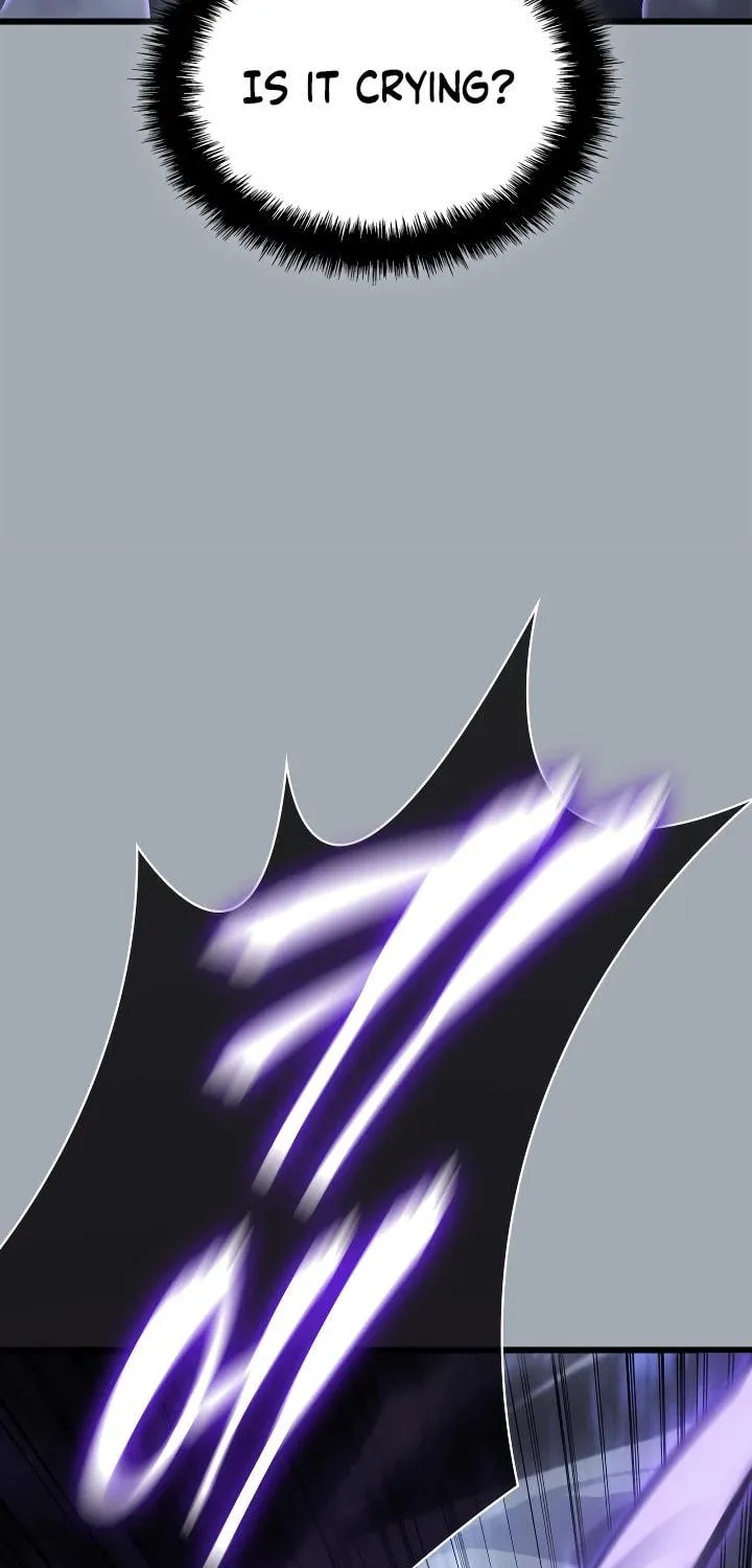 Solo Leveling Chapter 196 page 161 - 