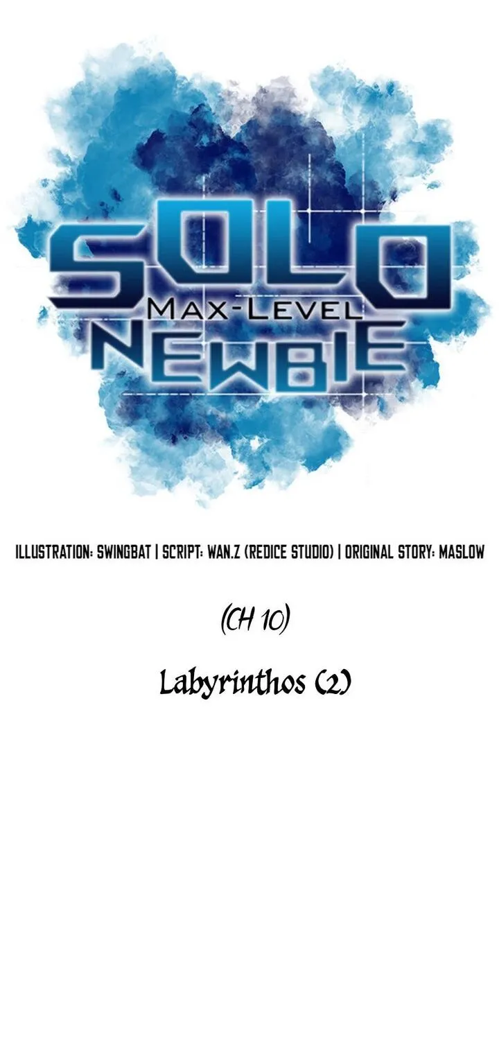 Solo Max-Level Newbie Chapter 10 page 13 - 