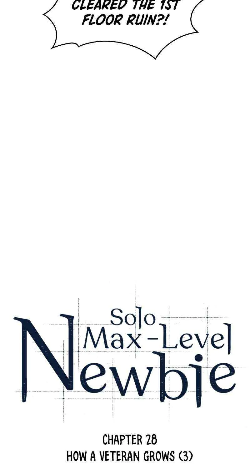 Solo Max-Level Newbie Chapter 28 page 11 - 