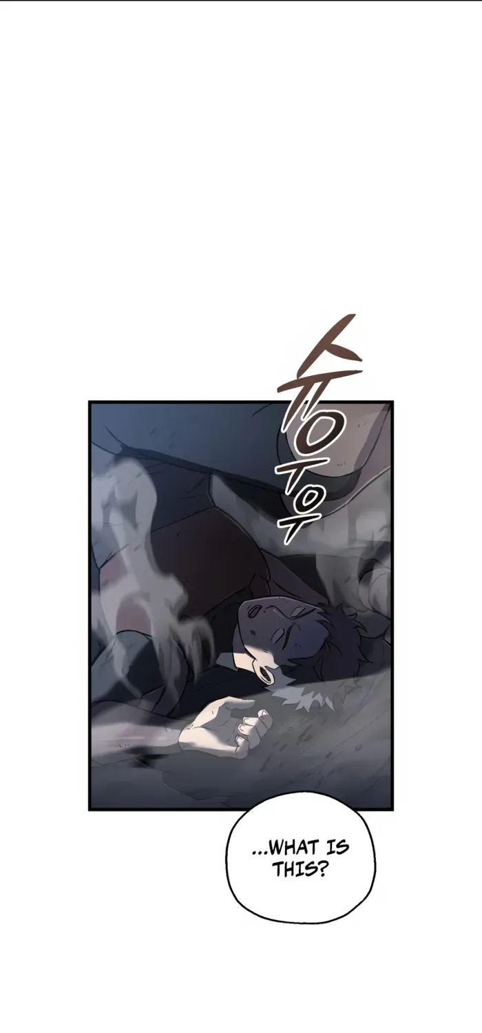 Solo Reincarnation Chapter 48 page 13 - 