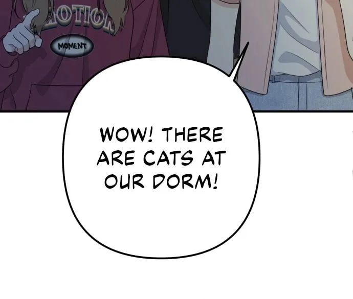 Solo School Chapter 24 page 86 - 