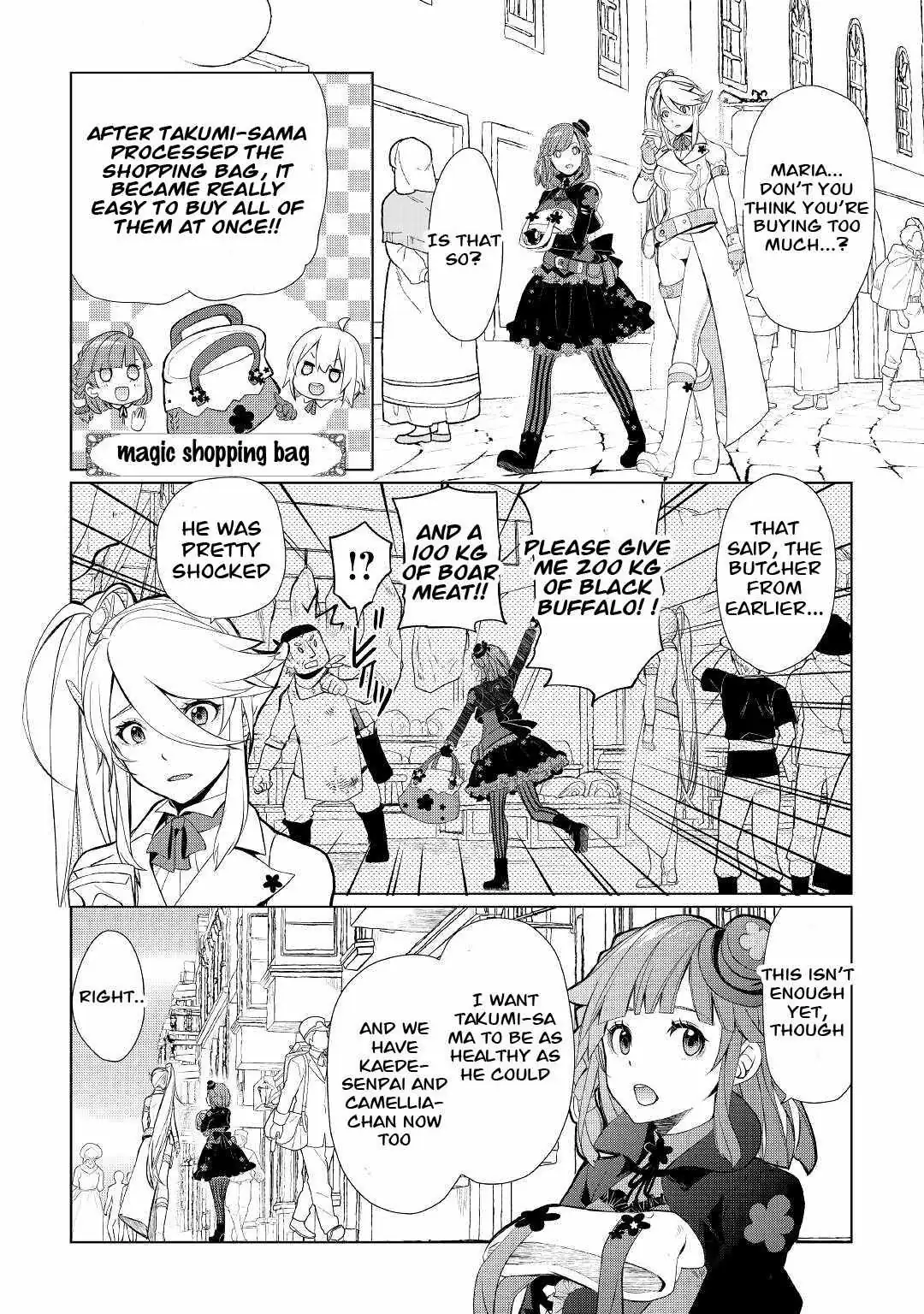 Someday Will I Be the Greatest Alchemist? Chapter 35 page 12 - 