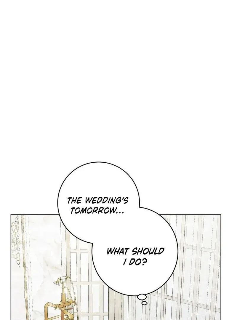 Somehow, My Tyrant Husband Has Became Cautious Chapter 101 page 95 - 