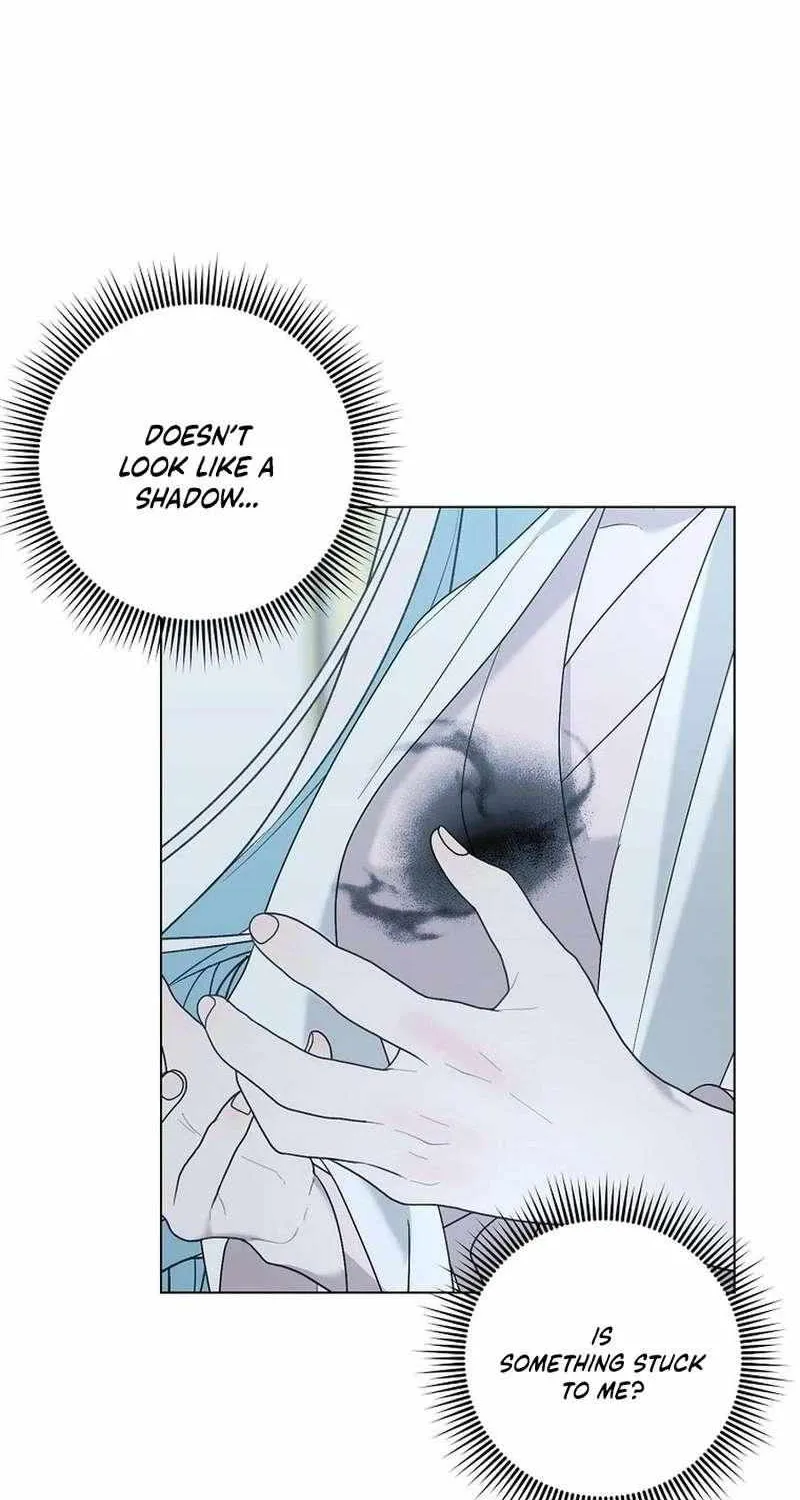 Somehow, My Tyrant Husband Has Became Cautious Chapter 102 page 29 - 