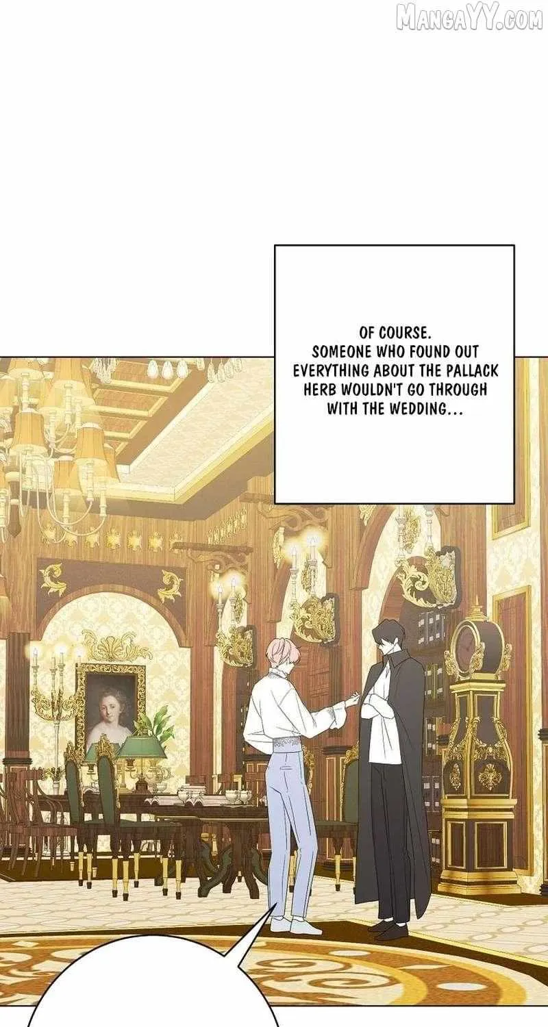 Somehow, My Tyrant Husband Has Became Cautious Chapter 102 page 42 - 