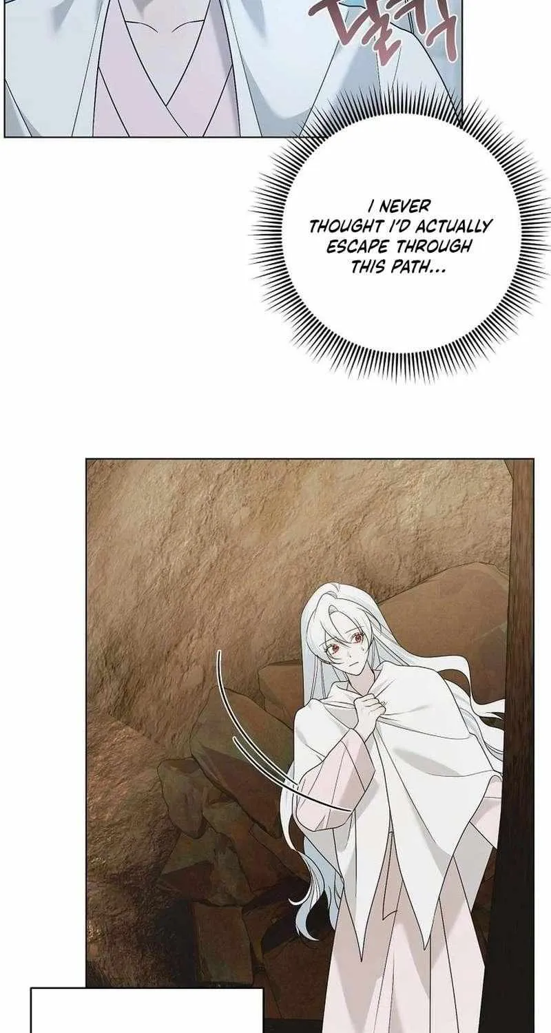 Somehow, My Tyrant Husband Has Became Cautious Chapter 102 page 50 - 