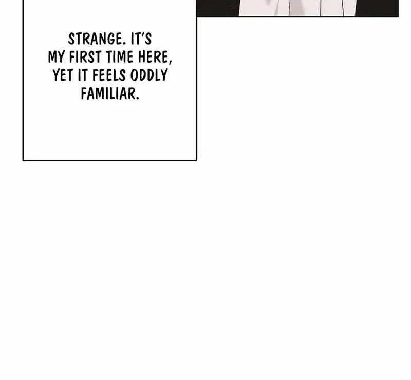 Somehow, My Tyrant Husband Has Became Cautious Chapter 102 page 51 - 