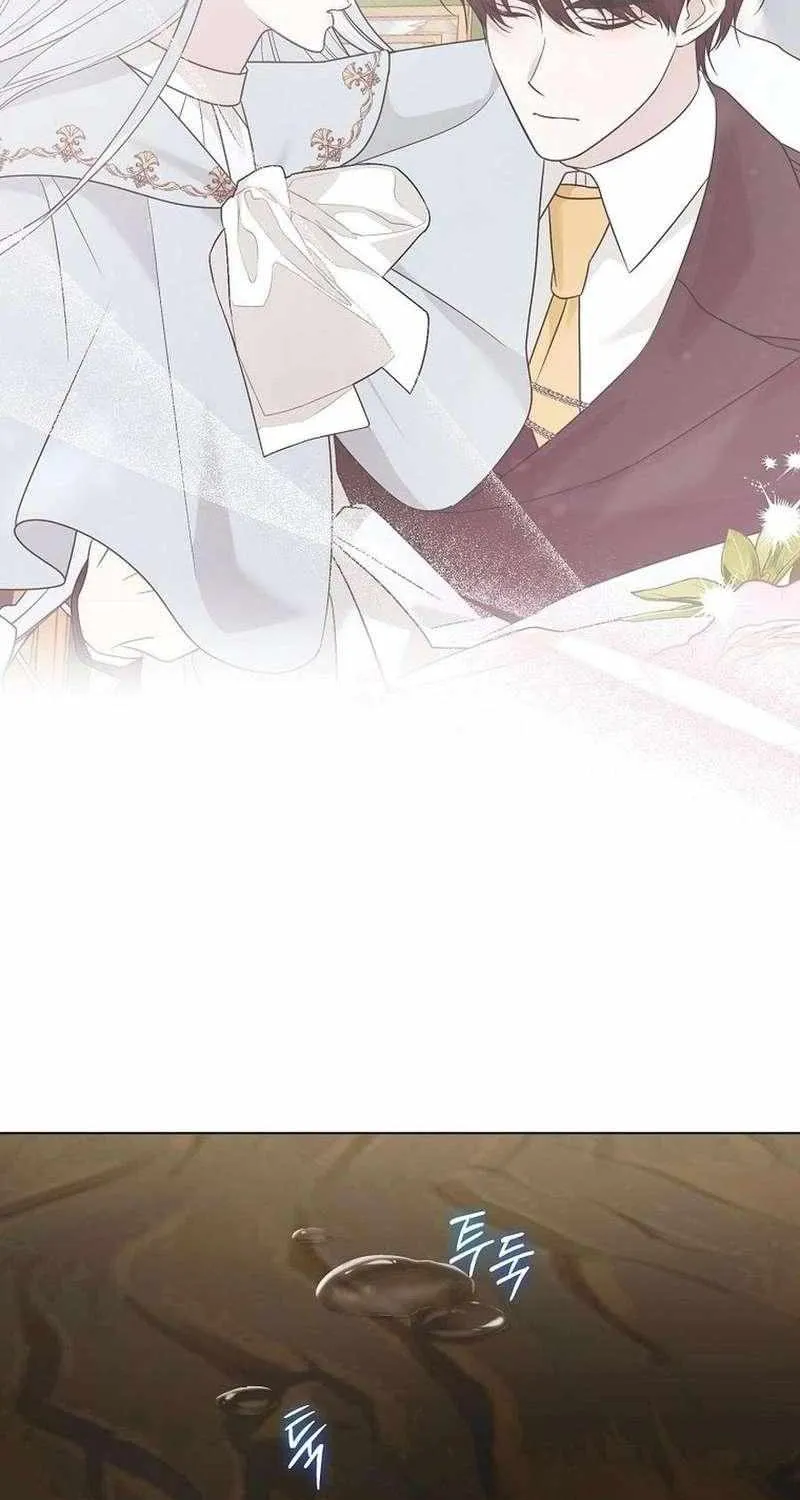 Somehow, My Tyrant Husband Has Became Cautious Chapter 102 page 63 - 