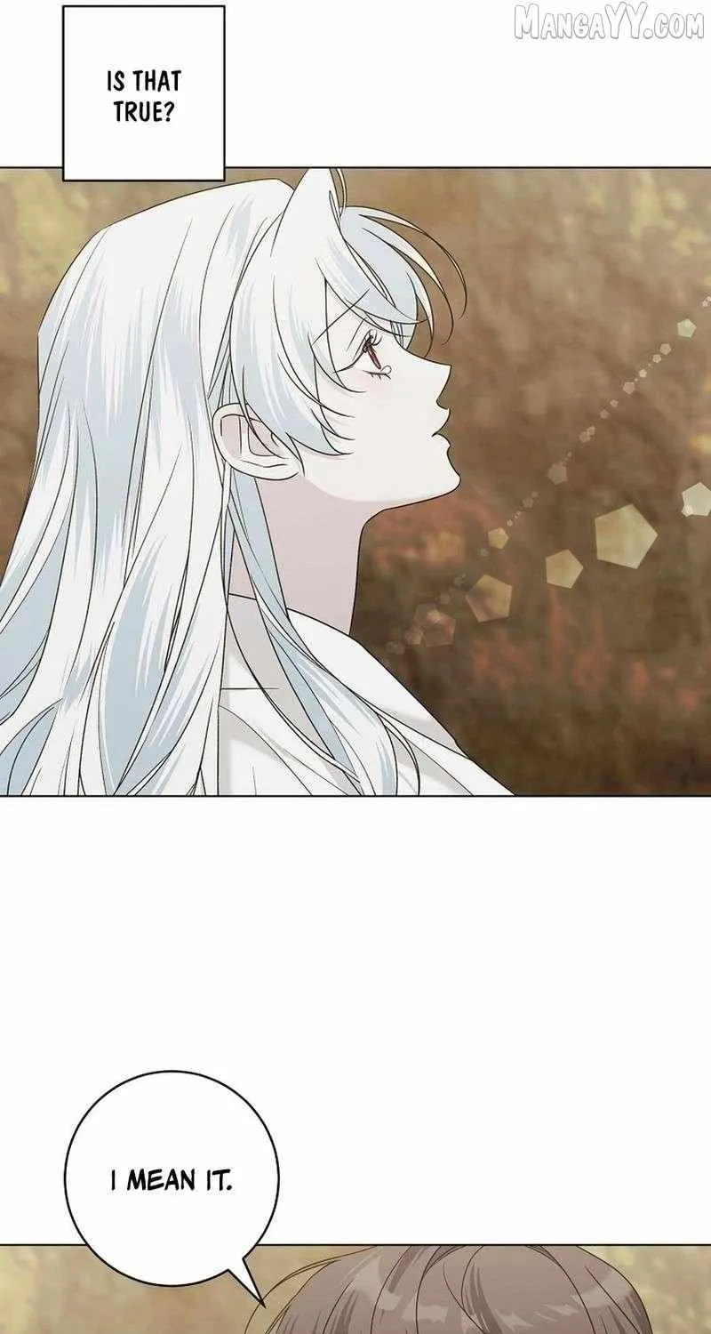 Somehow, My Tyrant Husband Has Became Cautious Chapter 102 page 81 - 