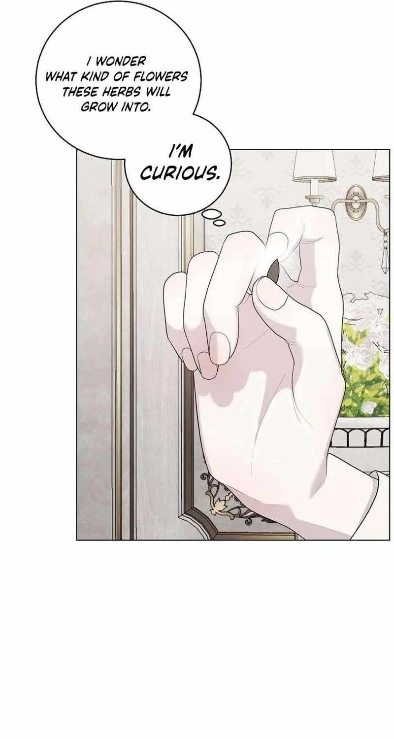 Somehow, My Tyrant Husband Has Became Cautious Chapter 103 page 73 - 