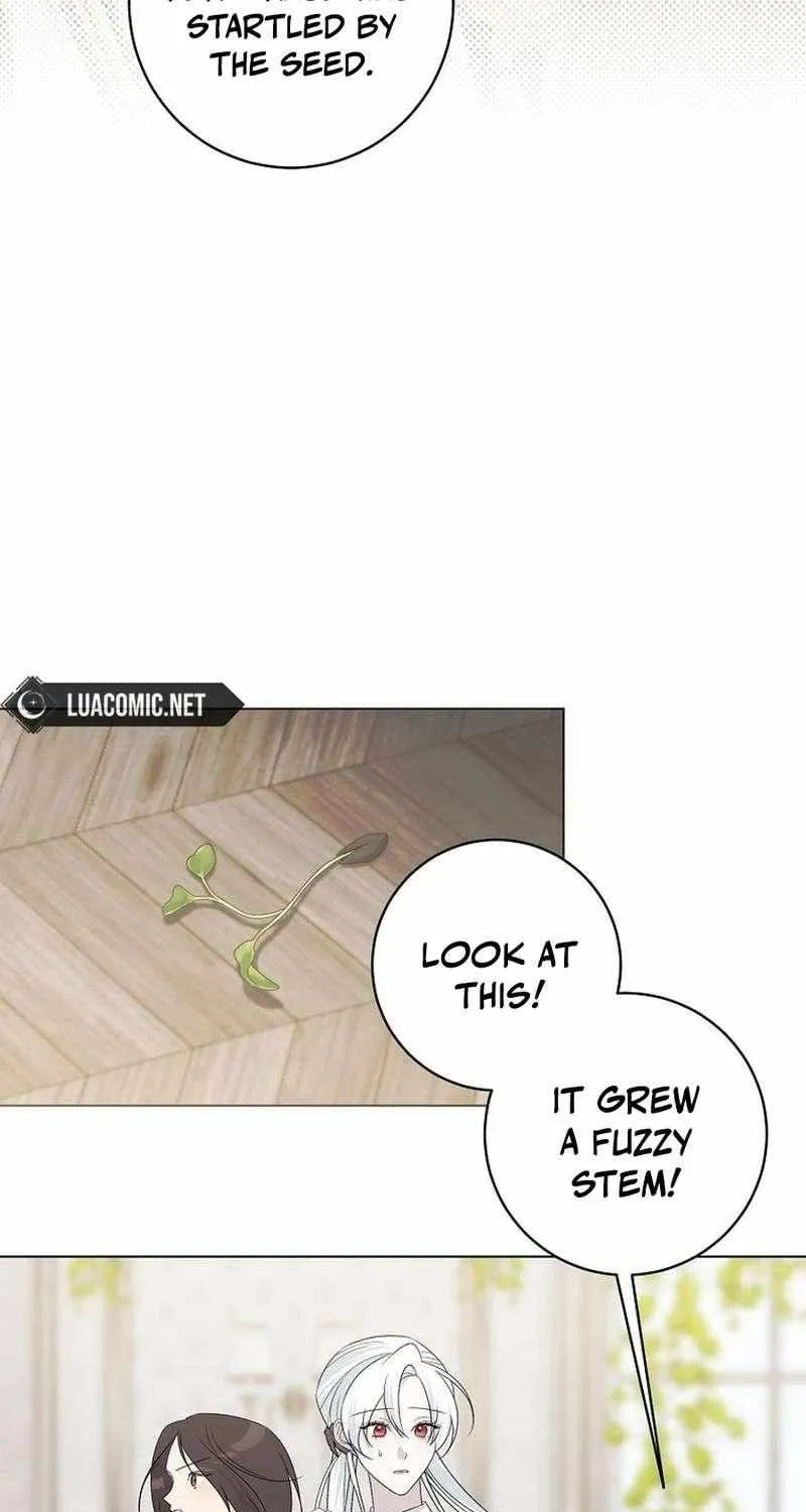 Somehow, My Tyrant Husband Has Became Cautious Chapter 103 page 78 - 
