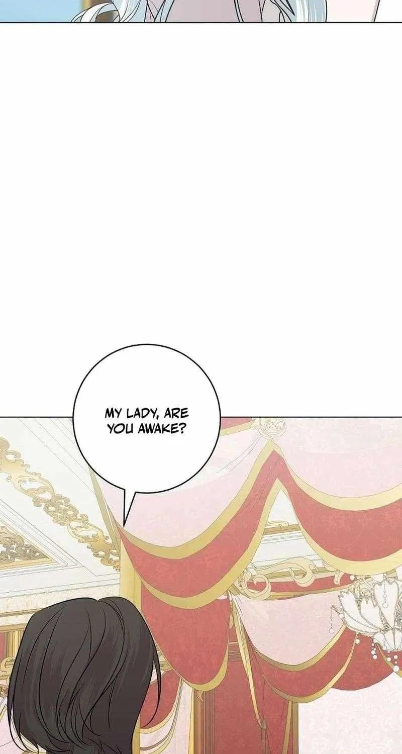 Somehow, My Tyrant Husband Has Became Cautious Chapter 104 page 5 - 