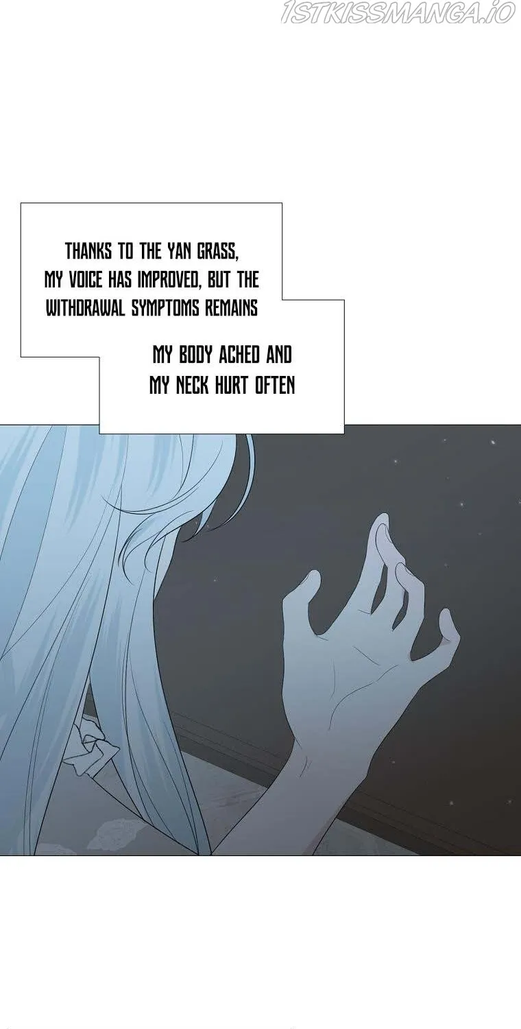 Somehow, My Tyrant Husband Has Became Cautious Chapter 12 page 11 - 