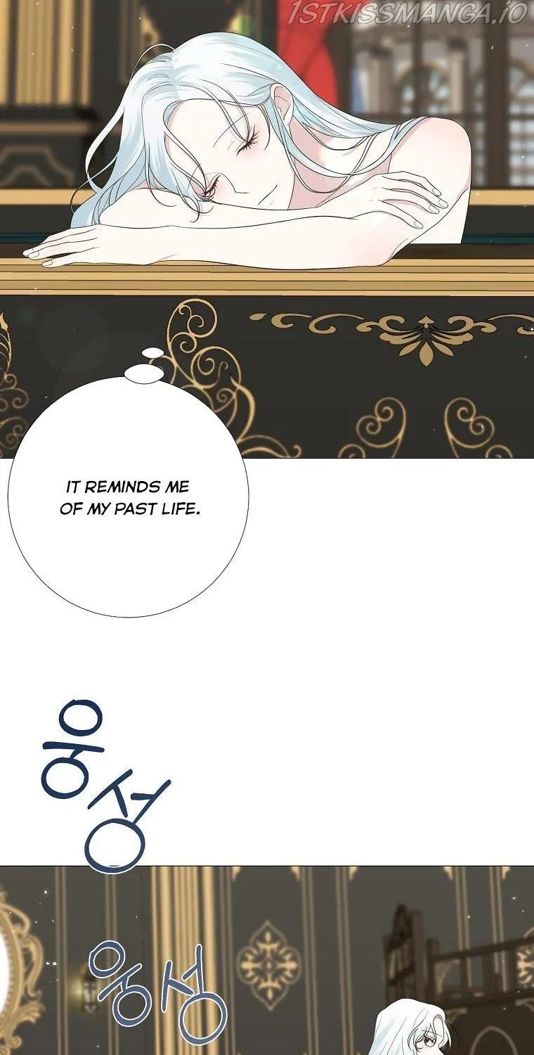 Somehow, My Tyrant Husband Has Became Cautious Chapter 13 page 4 - 