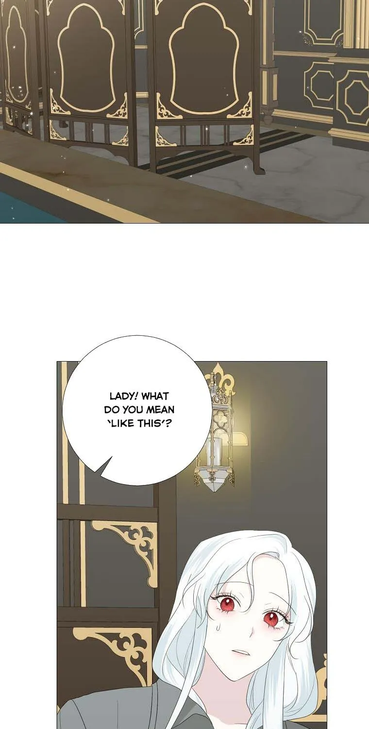 Somehow, My Tyrant Husband Has Became Cautious Chapter 14 page 9 - 