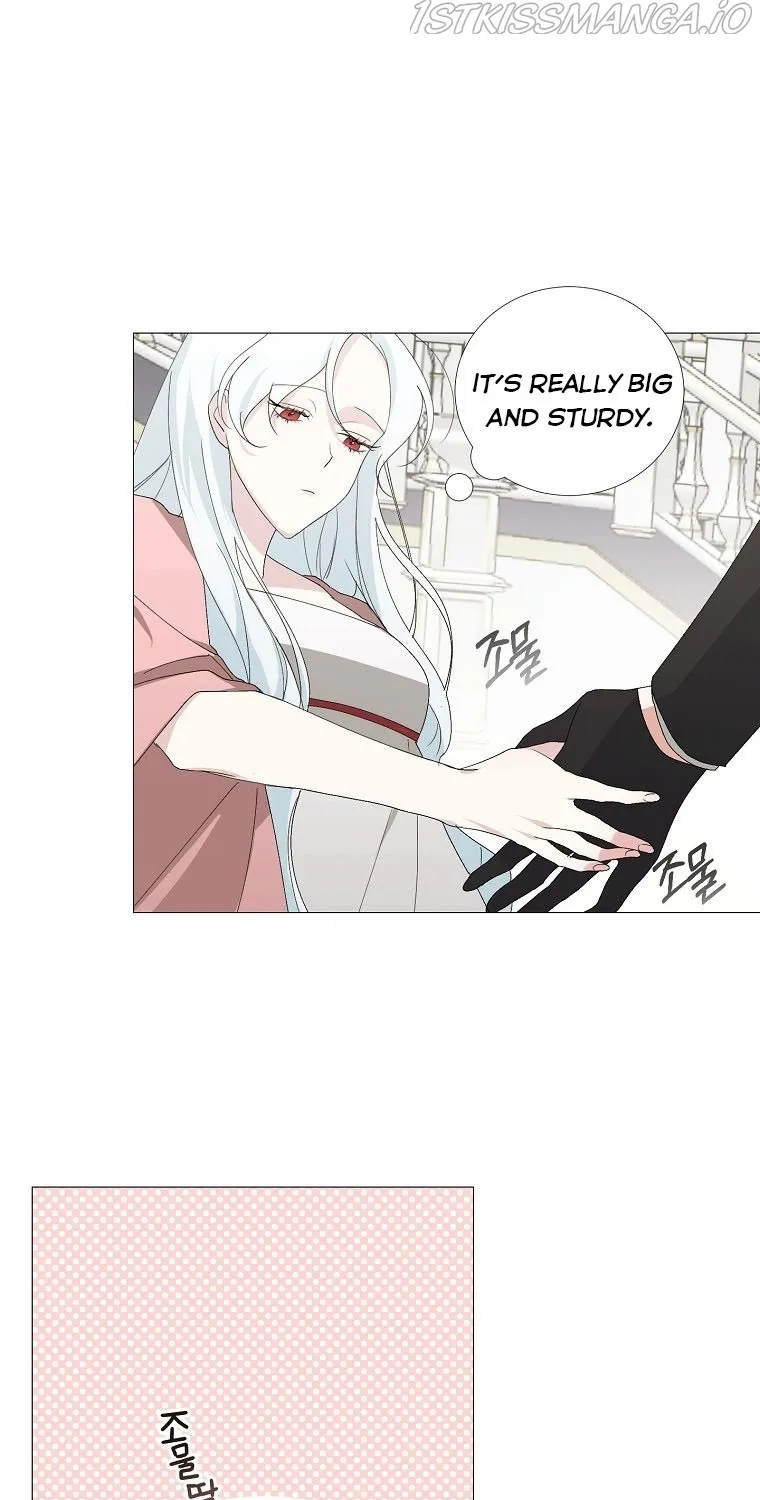 Somehow, My Tyrant Husband Has Became Cautious Chapter 2 page 18 - 