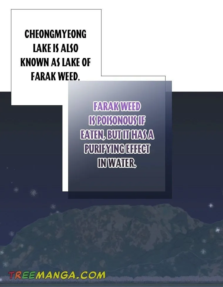 Somehow, My Tyrant Husband Has Became Cautious Chapter 2 page 35 - 