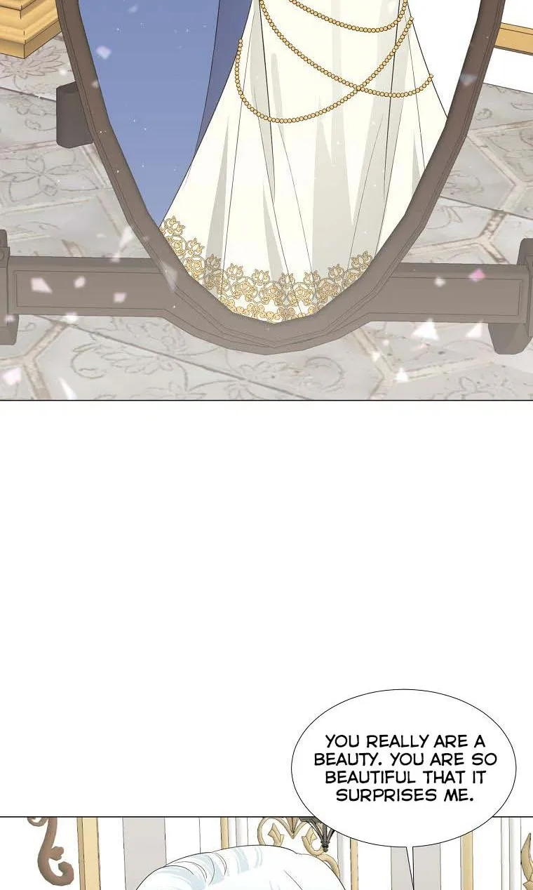 Somehow, My Tyrant Husband Has Became Cautious Chapter 20 page 46 - 