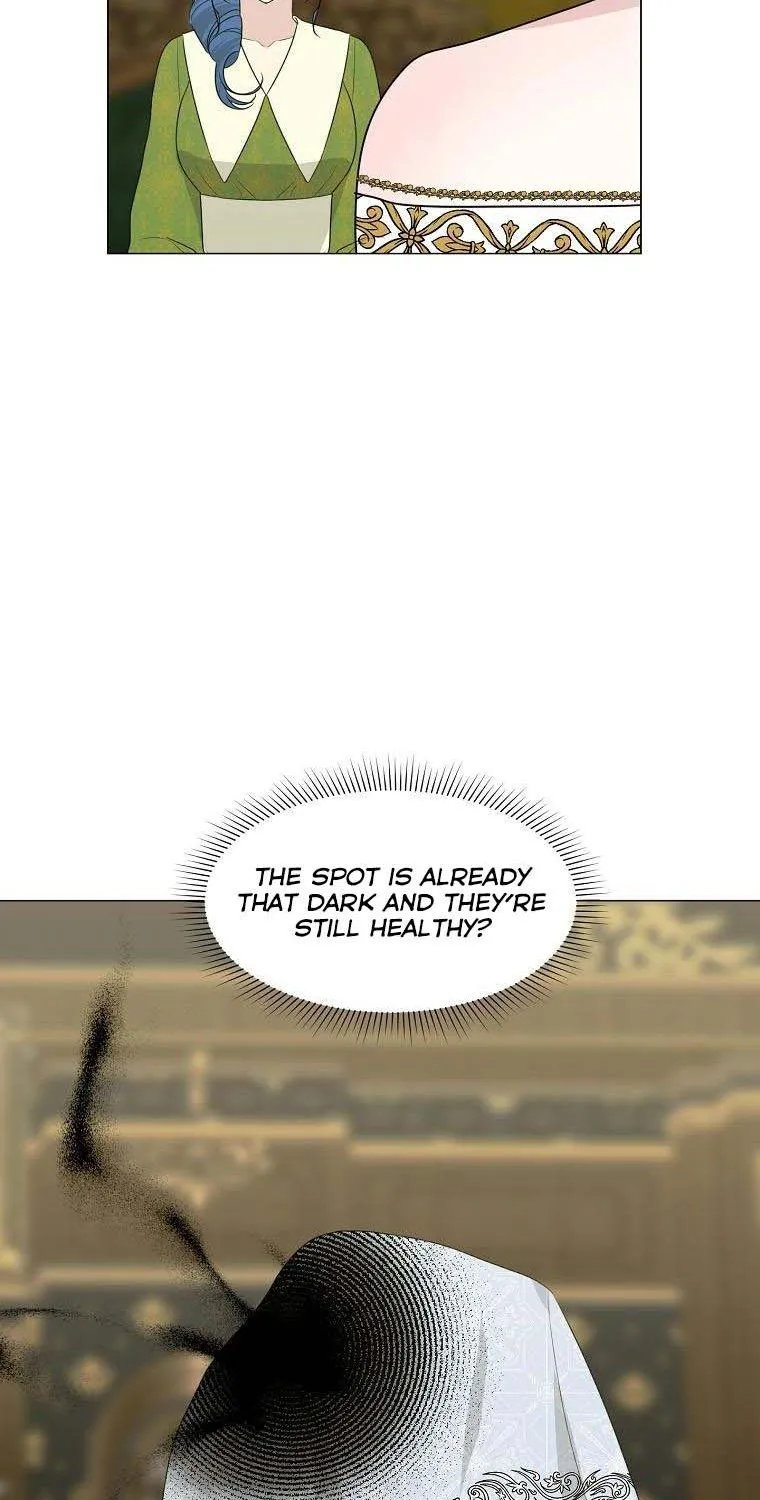 Somehow, My Tyrant Husband Has Became Cautious Chapter 24 page 41 - 