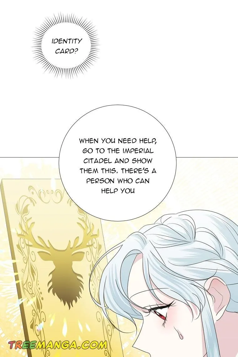 Somehow, My Tyrant Husband Has Became Cautious Chapter 28 page 26 - 