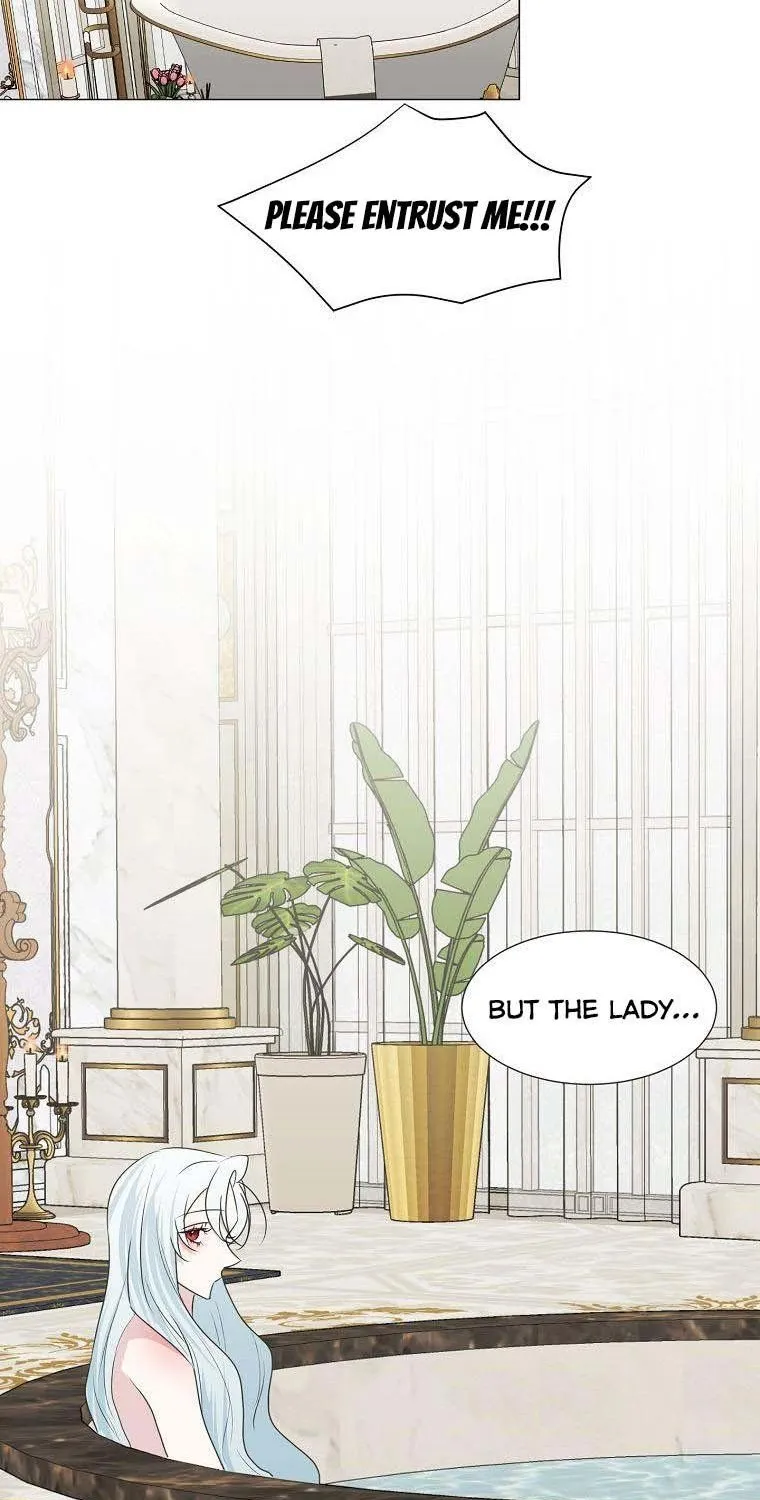 Somehow, My Tyrant Husband Has Became Cautious Chapter 34 page 13 - 