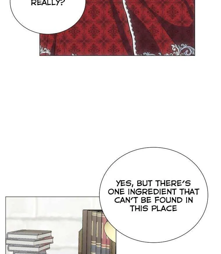 Somehow, My Tyrant Husband Has Became Cautious Chapter 37 page 64 - 