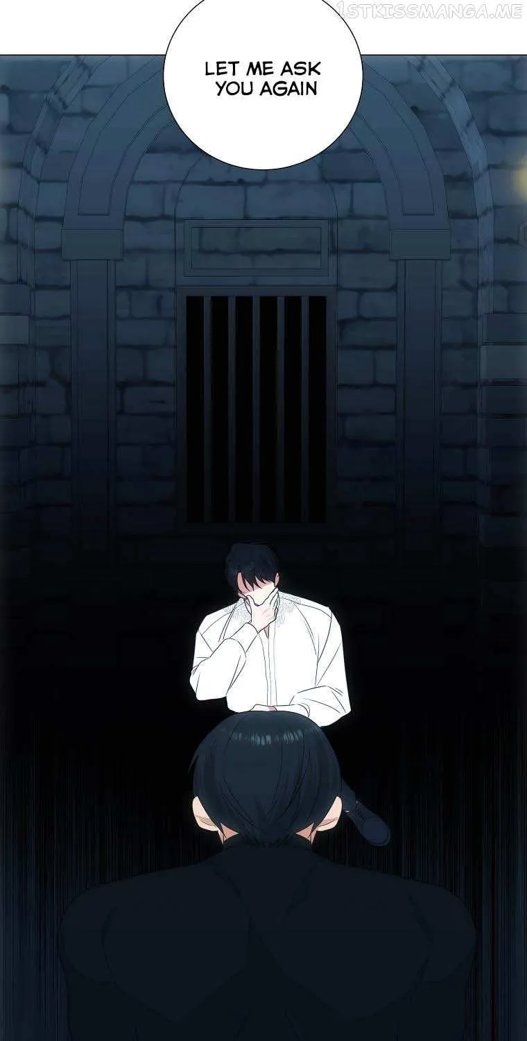 Somehow, My Tyrant Husband Has Became Cautious Chapter 37 page 75 - 