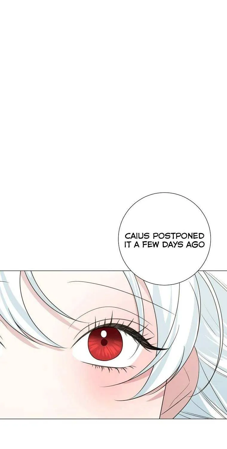 Somehow, My Tyrant Husband Has Became Cautious Chapter 41 page 4 - 
