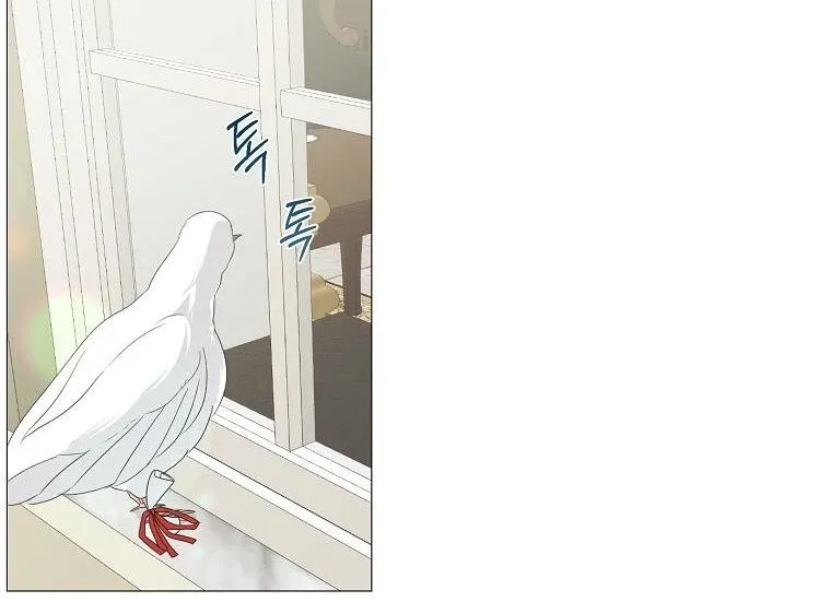 Somehow, My Tyrant Husband Has Became Cautious Chapter 5 page 42 - 