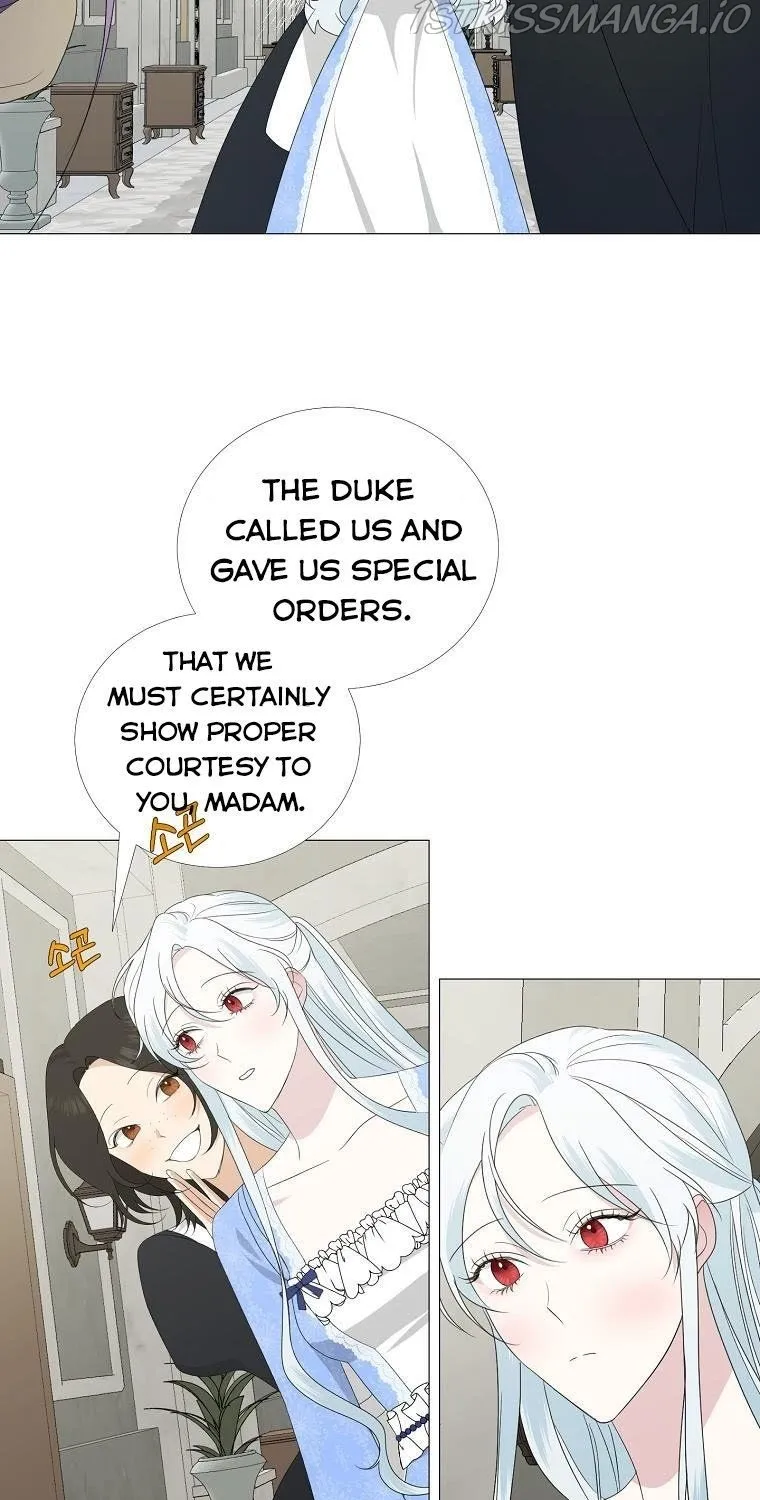 Somehow, My Tyrant Husband Has Became Cautious Chapter 6 page 17 - 