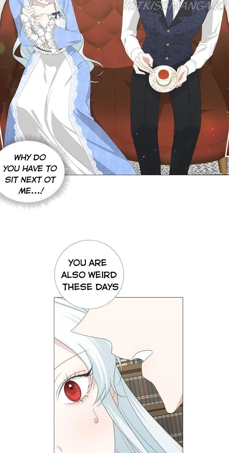Somehow, My Tyrant Husband Has Became Cautious Chapter 7 page 17 - 