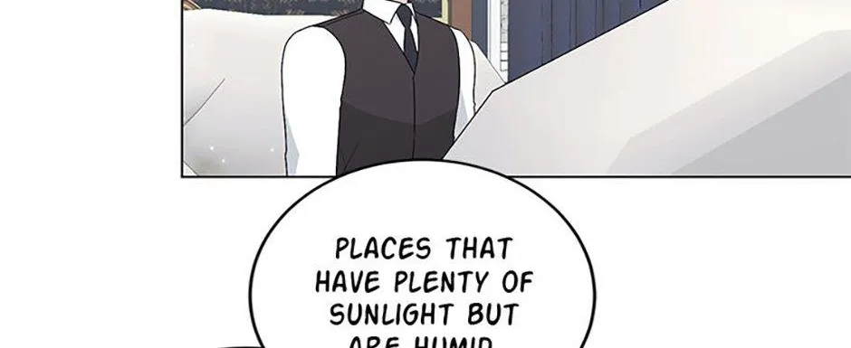 Somehow, My Tyrant Husband Has Became Cautious Chapter 72 page 85 - 