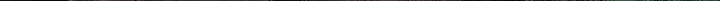 Somehow, My Tyrant Husband Has Became Cautious Chapter 78 page 36 - 