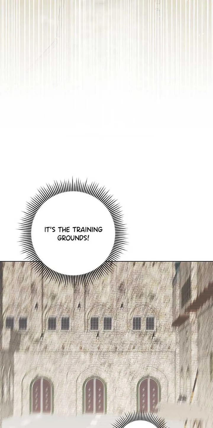 Somehow, My Tyrant Husband Has Became Cautious Chapter 78 page 44 - 